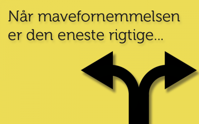 Når den rigtige beslutning er at lande i en flod…